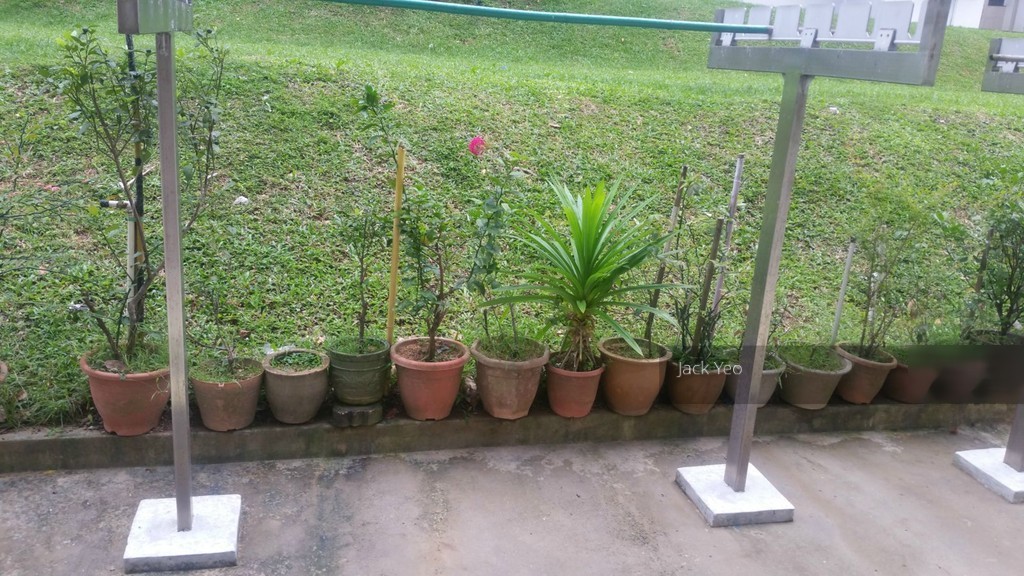 Blk 96 Commonwealth Crescent (Queenstown), HDB 2 Rooms #131788552
